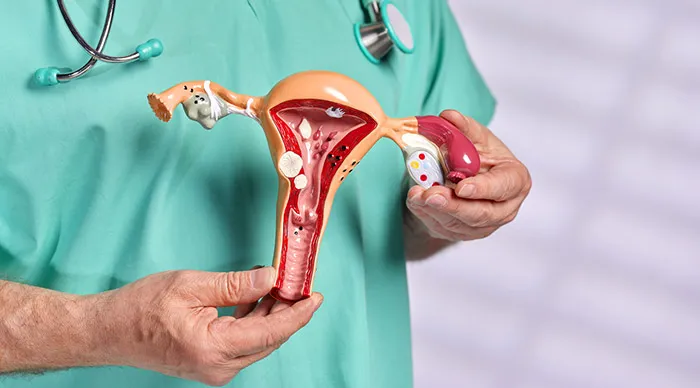 Chirurgie gynécologique - 1